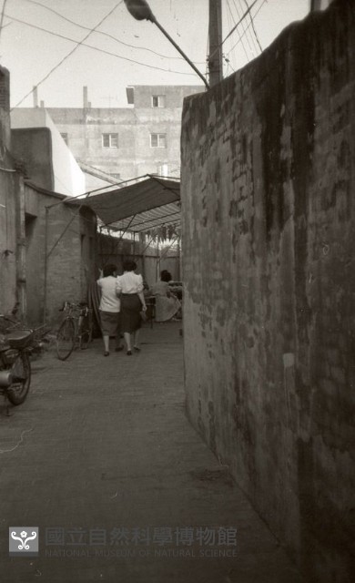 1950至2006年臺灣常民生活藏品圖，第1張