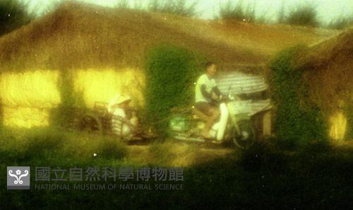 1950至2006年臺灣常民生活藏品圖，第1張