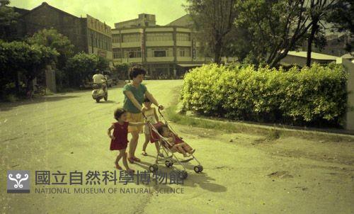 1950至2006年臺灣常民生活藏品圖，第1張