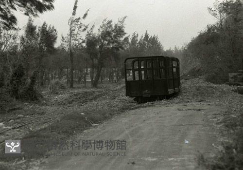 1950至2006年臺灣常民生活藏品圖，第1張