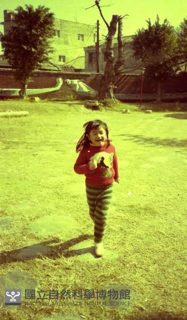 1950至2006年臺灣常民生活藏品圖，第1張