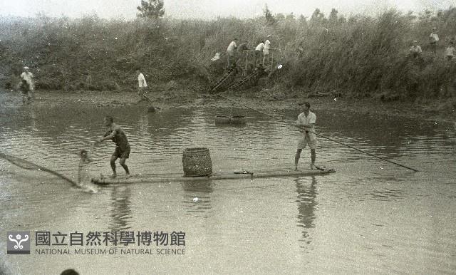 1950至2006年臺灣常民生活藏品圖，第1張