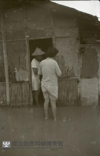 1950至2006年臺灣常民生活藏品圖，第1張