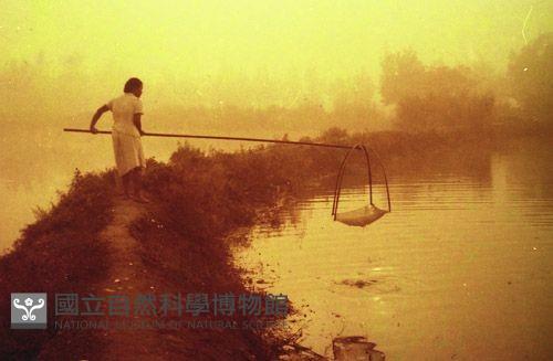 1950至2006年臺灣常民生活藏品圖，第1張