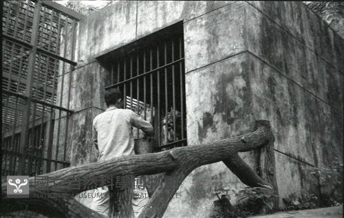 1950至2006年臺灣常民生活藏品圖，第1張