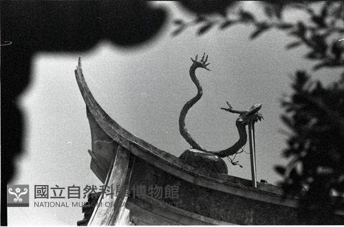1950至2006年臺灣常民生活藏品圖，第1張