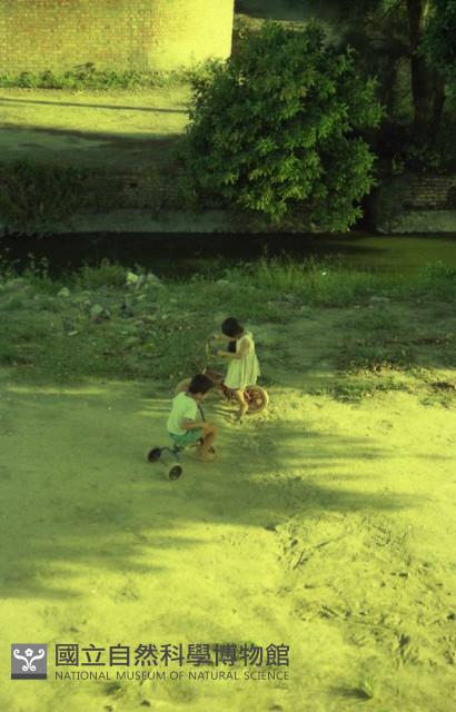1950至2006年臺灣常民生活藏品圖，第1張