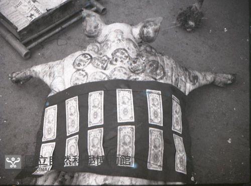 1950至2006年台灣常民生活藏品圖，第1張