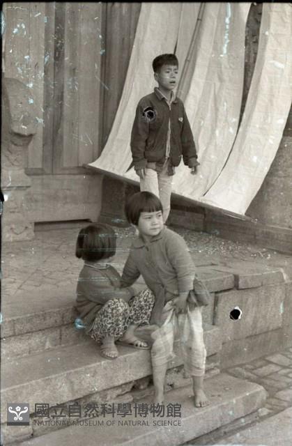 1950至2006年臺灣常民生活藏品圖，第1張