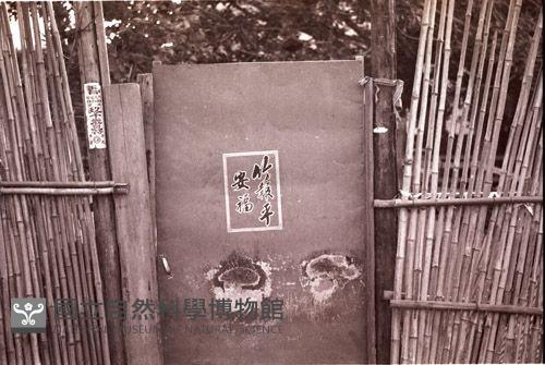 1950至2006年臺灣常民生活藏品圖，第1張