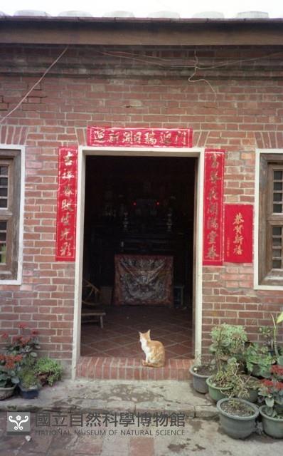 1950至2006年臺灣常民生活藏品圖，第1張