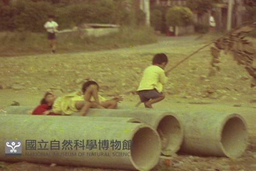 1950至2006年臺灣常民生活藏品圖，第1張