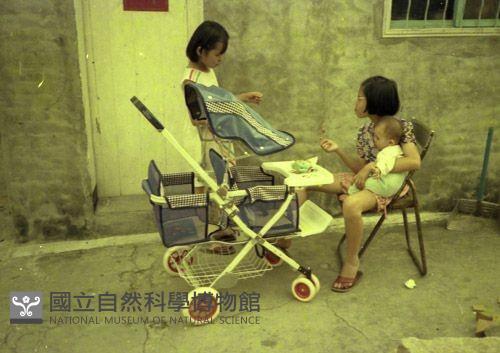 1950至2006年臺灣常民生活藏品圖，第1張