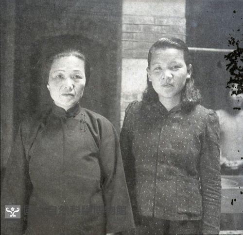 1950至2006年臺灣常民生活藏品圖，第1張