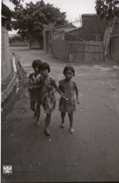 1950至2006年臺灣常民生活藏品圖，第1張