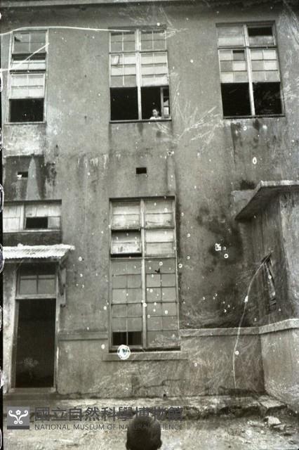 1950至2006年臺灣常民生活藏品圖，第1張