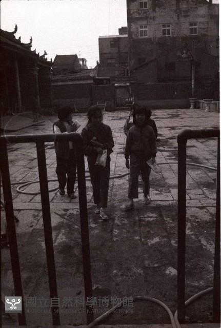 1950至2006年臺灣常民生活藏品圖，第1張