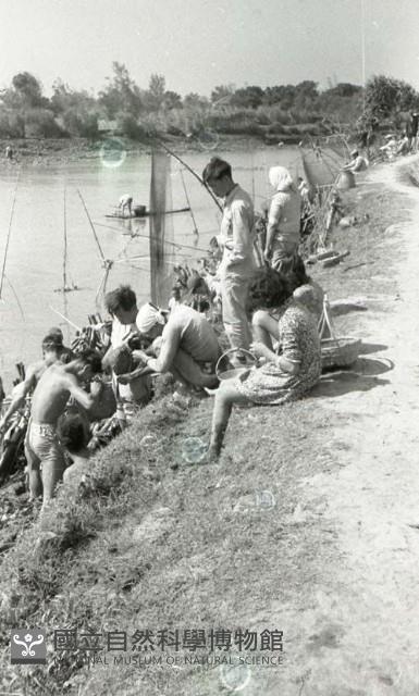 1950至2006年臺灣常民生活藏品圖，第1張