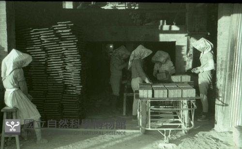 1950至2006年臺灣常民生活藏品圖，第1張