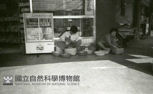 1950至2006年臺灣常民生活藏品圖，第1張