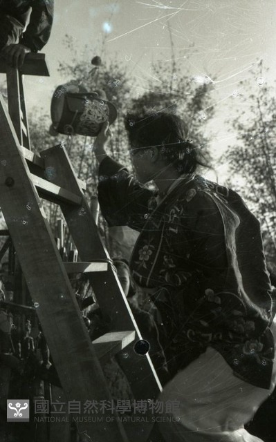 1950至2006年臺灣常民生活藏品圖，第1張