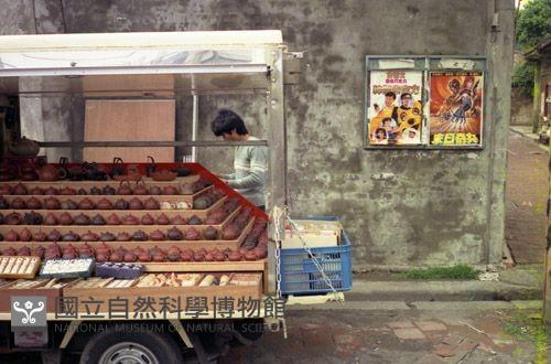 1950至2006年臺灣常民生活藏品圖，第1張