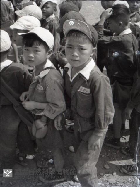 1950至2006年臺灣常民生活藏品圖，第1張