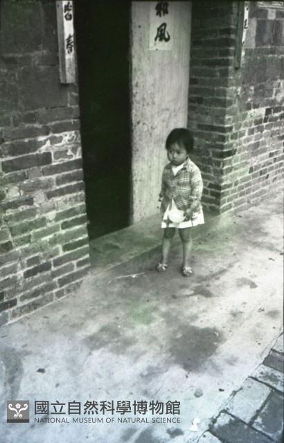 1950至2006年臺灣常民生活藏品圖，第1張