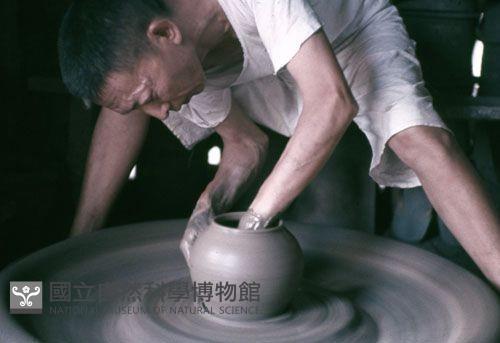 Accession Number:MS2007002061 Collection Image