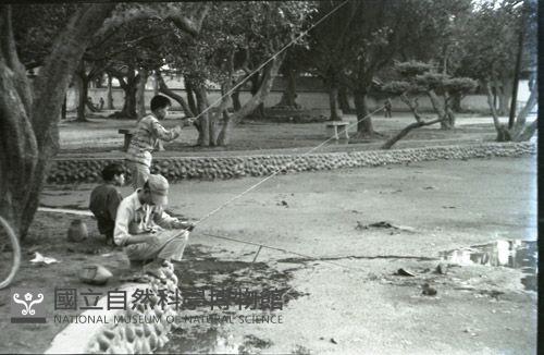 1950至2006年臺灣常民生活藏品圖，第1張