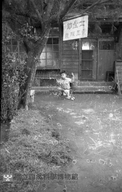 1950至2006年臺灣常民生活藏品圖，第1張