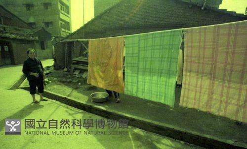 1950至2006年臺灣常民生活藏品圖，第1張