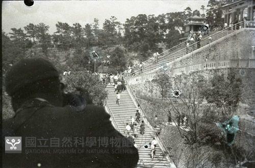 1950至2006年臺灣常民生活藏品圖，第1張