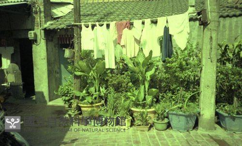 1950至2006年臺灣常民生活藏品圖，第1張