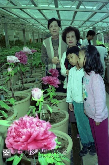 1950至2006年臺灣常民生活藏品圖，第1張