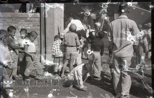 1950至2006年臺灣常民生活藏品圖，第1張