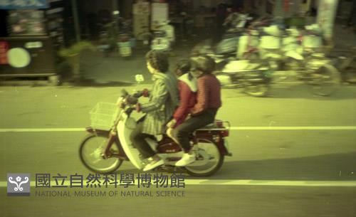 1950至2006年臺灣常民生活藏品圖，第1張