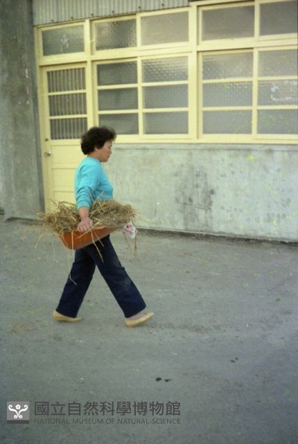1950至2006年臺灣常民生活藏品圖，第1張