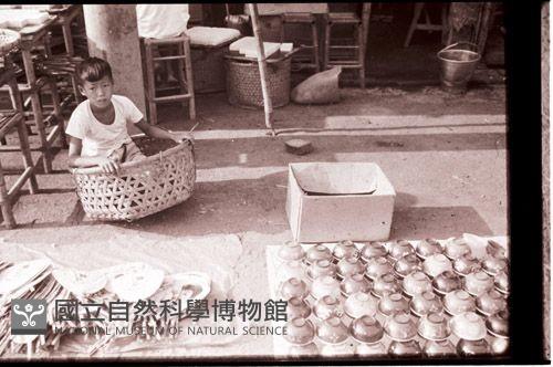 1950至2006年臺灣常民生活藏品圖，第1張