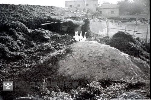 1950至2006年臺灣常民生活藏品圖，第1張
