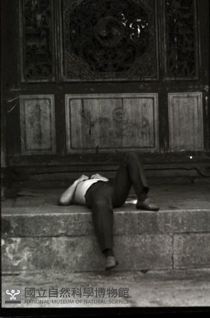 1950至2006年臺灣常民生活藏品圖，第1張