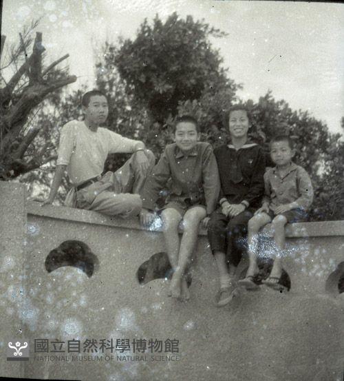 1950至2006年臺灣常民生活藏品圖，第1張