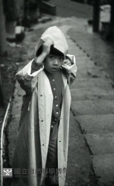 1950至2006年臺灣常民生活藏品圖，第1張