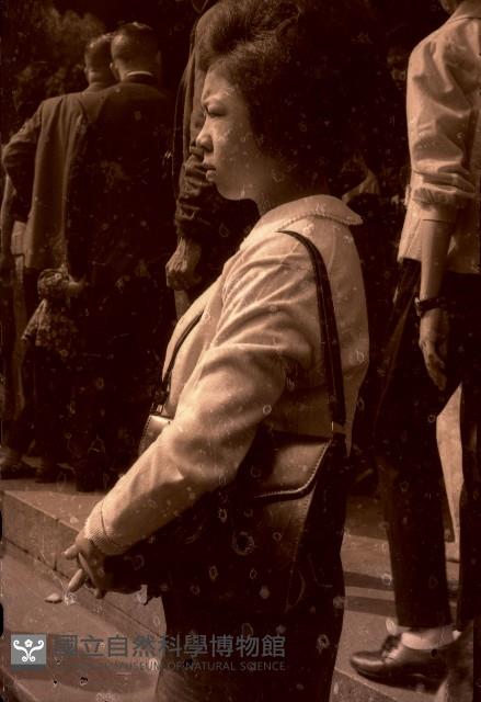 1950至2006年臺灣常民生活藏品圖，第1張