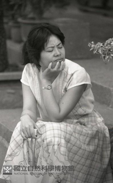 1950至2006年臺灣常民生活藏品圖，第1張