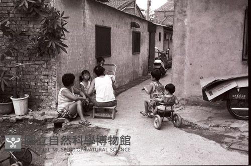 1950至2006年臺灣常民生活藏品圖，第1張