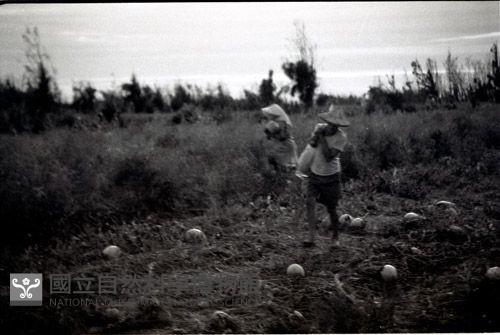 1950至2006年臺灣常民生活藏品圖，第1張