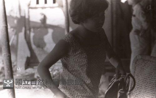 1950至2006年臺灣常民生活藏品圖，第1張