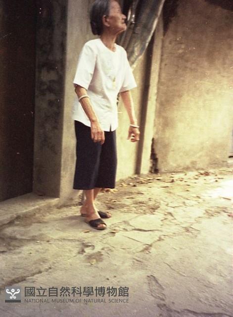 1950至2006年臺灣常民生活藏品圖，第1張