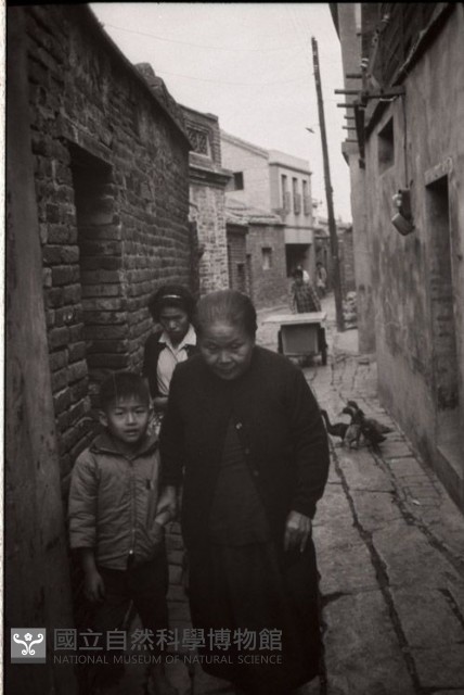 1950至2006年臺灣常民生活藏品圖，第1張